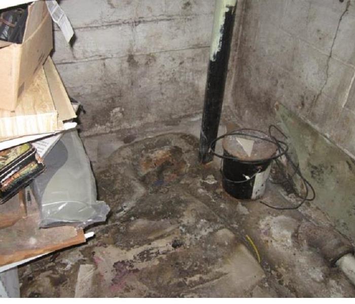 concrete basement walls and floor covered with mold