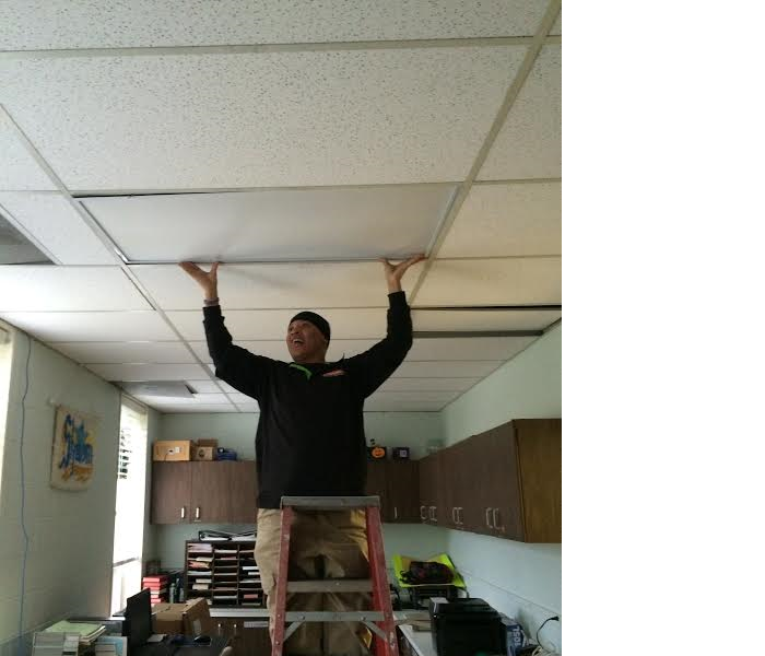 male employee on a ladder placing ceiling tiles