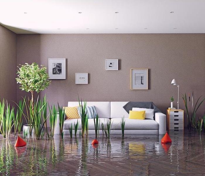 Flooded living room with couch and plants