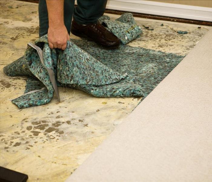 water damaged carpet.