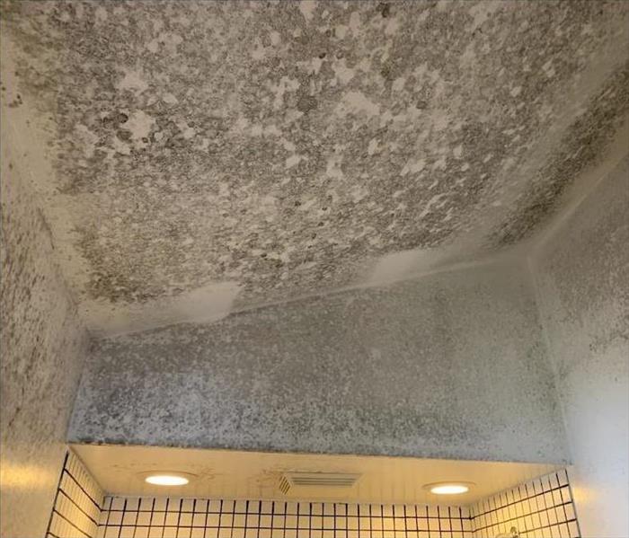 mold damaged bathroom